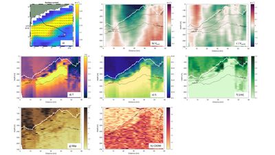Data sample